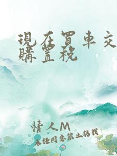 现在买车交多少购置税