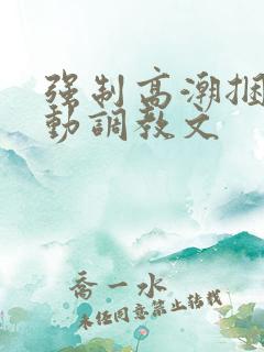 强制高潮捆绑震动调教文