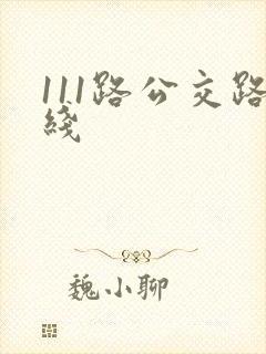 111路公交路线