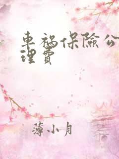 车祸保险公司护理费 车祸保险公司护理费