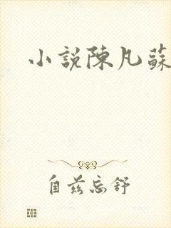 小说陈凡苏若初