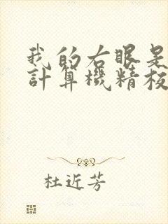 我的右眼是神级计算机精校版