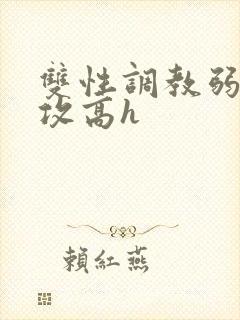 双性调教弱攻虐攻高h