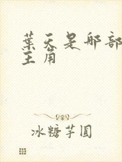叶天是哪部小说主角