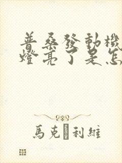 普桑发动机故障灯亮了是怎么回事