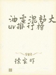 油电混动大型suv排行榜