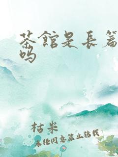 茶馆是长篇小说吗 茶馆是长篇小说吗