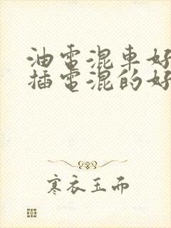 油电混车好还是插电混的好