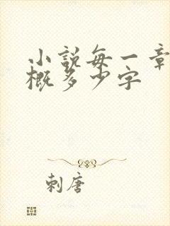 小说每一章节大概多少字