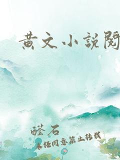 黄文小说阅读网