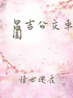 昌吉公交车路线图