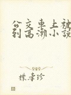 公交车上被人摸到高潮小说