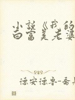 小说《我的总裁白富美老婆》