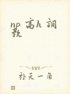 np 高h 调教