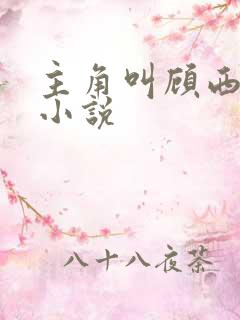 主角叫顾西辞的小说