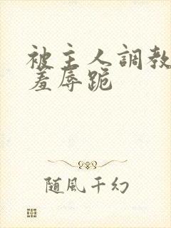 被主人调教粗口羞辱跪