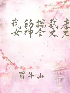 我的总裁老婆是女神全文免费阅读
