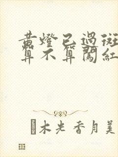 黄灯已过斑马线算不算闯红灯