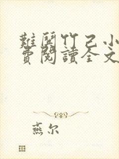 难哄竹己小说免费阅读全文无窗口