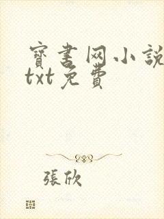 宝书网小说下载txt免费