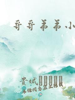 哥哥弟弟小说