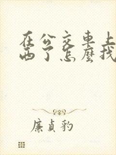 在公交车上丢东西了怎么找回