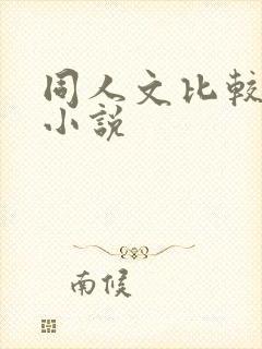 同人文比较多的小说