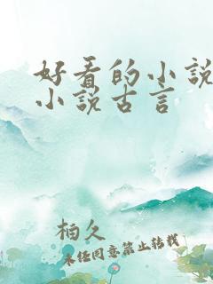 好看的小说言情小说古言