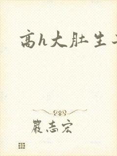 高h大肚生子