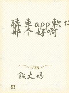购车app软件哪个好啊