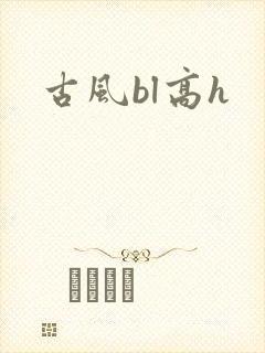 古风bl高h