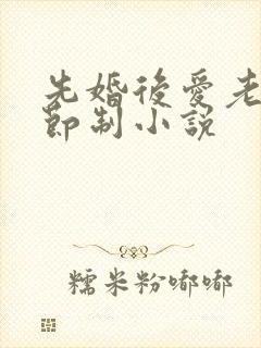 先婚后爱老公请节制小说
