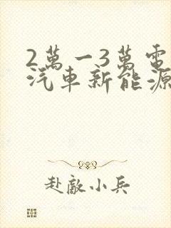 2万一3万电动汽车新能源