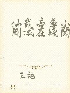 仙武帝尊小说无删减在线阅读