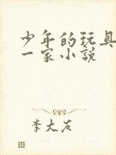 少年的玩具小天一家小说