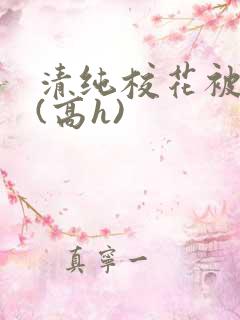 清纯校花被调教(高h)