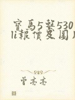 宝马5系530li报价及图片 宝马5系530li报价及图片