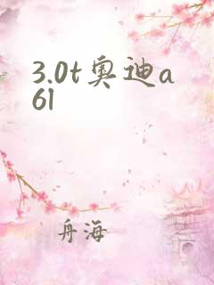 3.0t奥迪a6l
