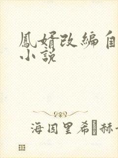 凤婿改编自哪部小说