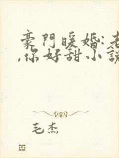 豪门暖婚:老婆,你好甜小说