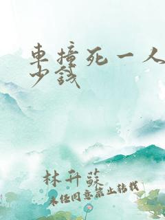 车撞死一人赔多少钱