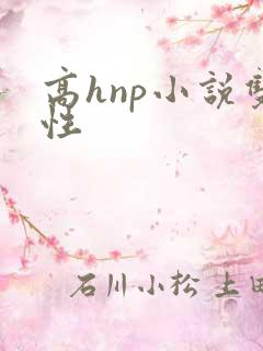 高hnp小说双性