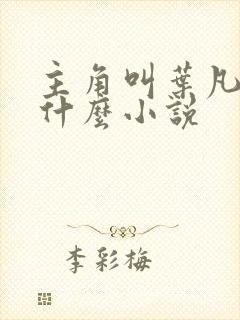 主角叫叶凡的是什么小说