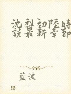 沈梨初陆时霁小说最新章节免费阅读