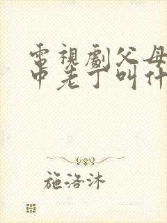 电视剧父母爱情中老丁叫什么名字