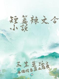 短篇辣文合集h小说