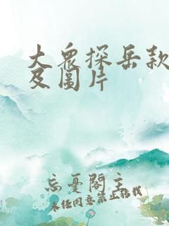 大众探岳款报价及图片