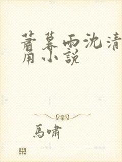 萧暮雨沈清秋主角小说
