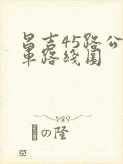 昌吉45路公交车路线图
