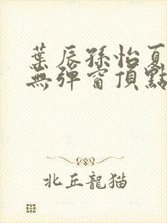 叶辰孙怡夏若雪无弹窗顶点小说
